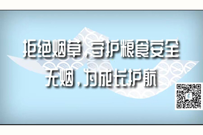 136骚骚逼导航拒绝烟草，守护粮食安全